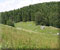 Al limite del bosco Al limite del bosco
